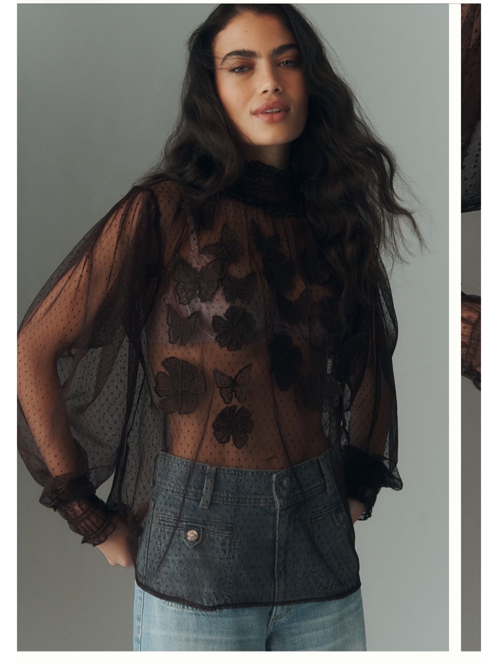 3D Butterfly Sheer Blouse